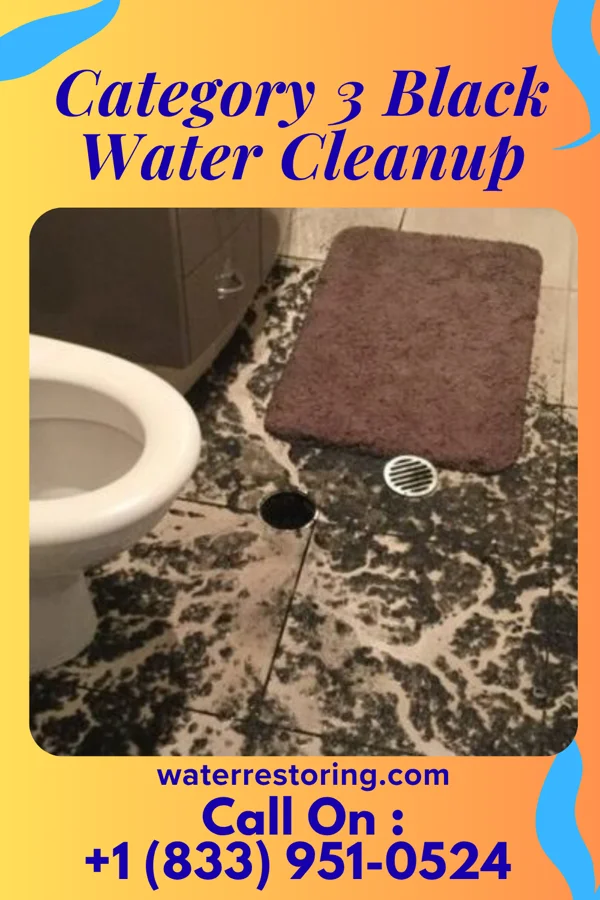Category 3 Black Water Cleanup in North Lynbrook, NY