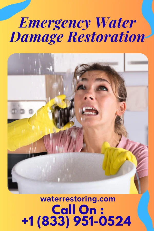 Emergency Water Damage Restoration in North Lynbrook, NY