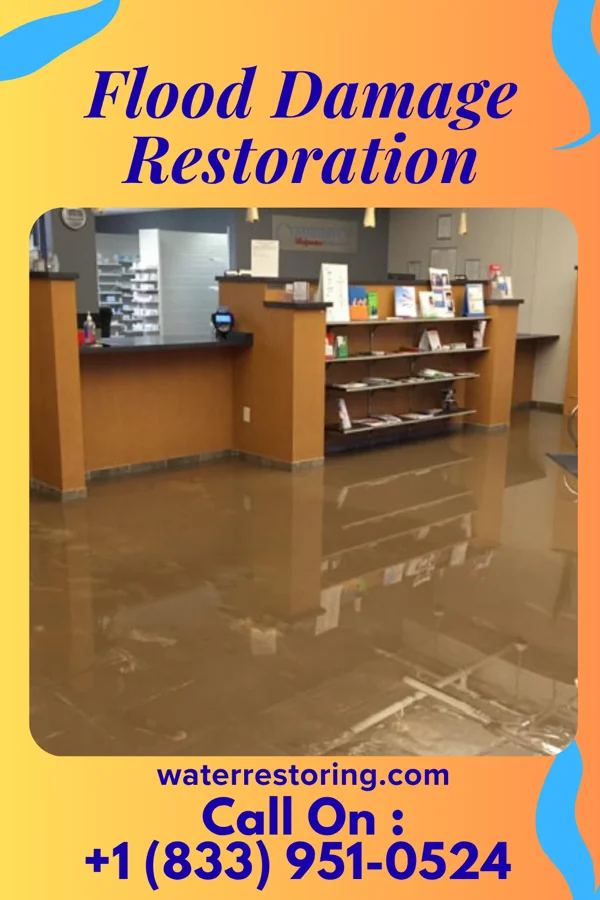 Flood Damage Restoration in North Lynbrook, NY