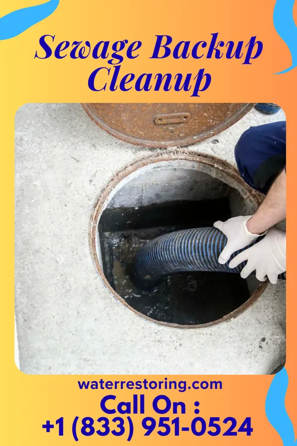 Sewage Backup Cleanup in North Lynbrook, NY