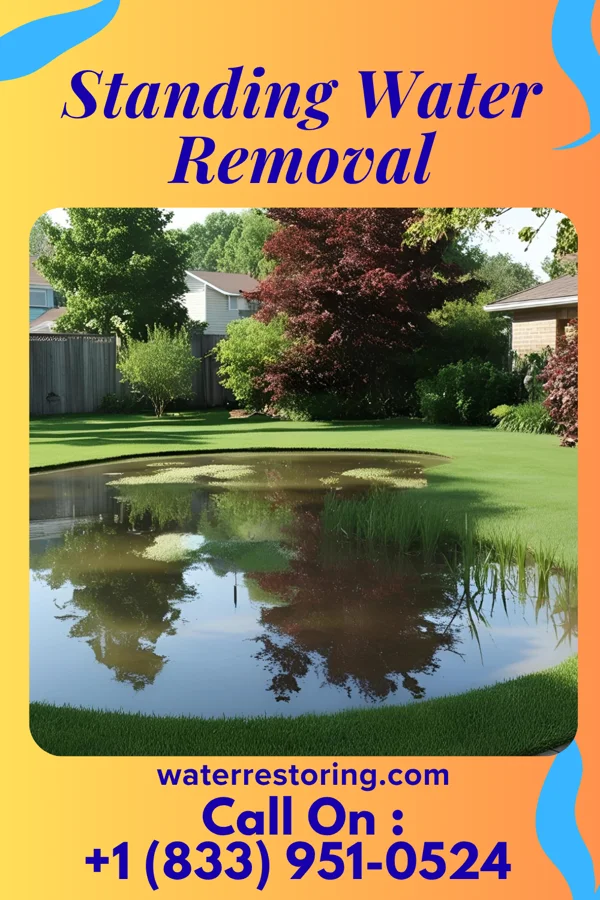 Standing Water Removal in North Lynbrook, NY